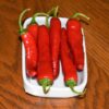 25 GIANT ACONCAGUA PEPPER Up to 12" Long Caspsicum Annuum Green Yellow Orange Red Vegetable Seeds