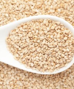 Alternative view of 1500 Organic SESAME SEED Sesamum Indicum White Flower Vegetable Bread Seeds