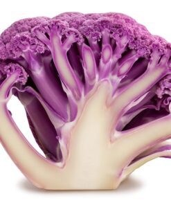 Alternative view of 25 PURPLE CAULIFLOWER Violet Queen Brassica Oleracea Botrytis Vegetable Seeds