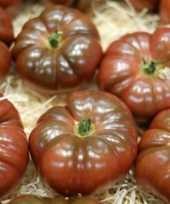 Alternative view of 100 Organic PURPLE CHEROKEE TOMATO Lycopersicon Lycopersicum Fruit Vegetable Seeds