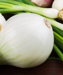 Alternative view of 500 Sweet WHITE SPANISH ONION Allium Cepa Vegetable Seeds