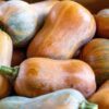 25 Organic HONEYNUT SQUASH aka Honey Butternut Squash Sweet Cucurbita Moschata Baby Buttercup Tan Skin Orange Flesh Seeds