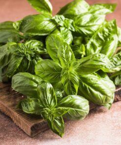 1500 SWEET BASIL Ocimum Basilicum Herb White Flower Seeds