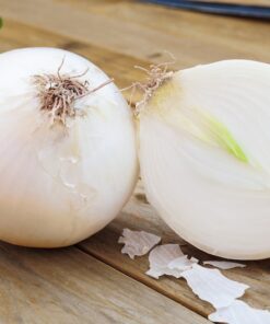 500 Sweet WHITE SPANISH ONION Allium Cepa Vegetable Seeds