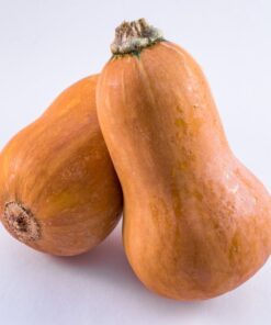 Alternative view of 25 Organic HONEYNUT SQUASH aka Honey Butternut Squash Sweet Cucurbita Moschata Baby Buttercup Tan Skin Orange Flesh Seeds