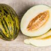 50 Piel de Sapo Melon Seeds - Santa Claus Melon - Green Yellow Cucumis Melo - Sweet White Flesh