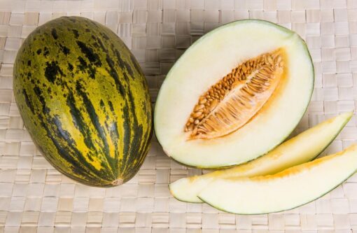50 Piel de Sapo Melon Seeds - Santa Claus Melon - Green Yellow Cucumis Melo - Sweet White Flesh