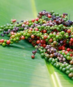 Alternative view of 25 BLACK PEPPERCORN Black Pepper Piper Nigrum Spice Vine Seeds