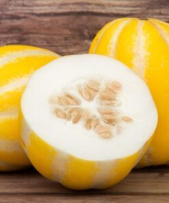 50 Early SILVER LINE MELON Cucumis Melo Yellow Striped Skin White Flesh Korean Fruit Seeds