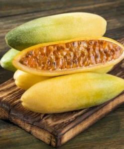 10 Banana Passion Fruit Seeds - Passiflora mollissima - Heirloom - Yellow Fruit - Fast Growing Vine