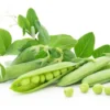 100 Heirloom Sugar Snap Pea Seeds | Sweet Vegetable Seeds for Gardens