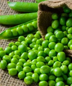 100 Heirloom Sugar Snap Pea Seeds | Sweet Vegetable Seeds for Gardens