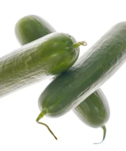 20 Heirloom Cucumber Seeds - Beit Alpha - Great Slicing Variety - Non-GMO