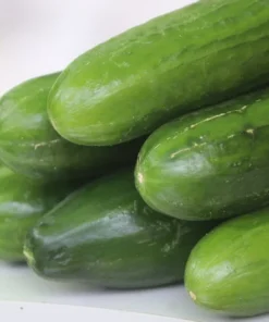 20 Heirloom Cucumber Seeds - Beit Alpha - Great Slicing Variety - Non-GMO