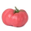 20 Heirloom Pink Brandywine Tomato Seeds - Rich Flavor, Non-GMO, Perfect for Slicing