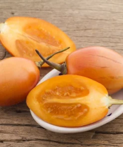 20 Heirloom Rare Yellow Tree Tomato Seeds - Container Gardening - Solanum Betacea