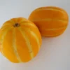 20 Heirloom Tropical Seeds - Apple Melon Wild Muskmelon - Sweet Aroma - Cucumis melo var dudaim