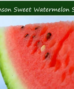20 Heirloom Watermelon Seeds - Crimson Sweet - Juicy & Sweet - Non-GMO