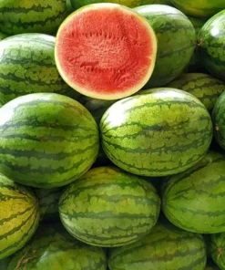 20 Heirloom Watermelon Seeds - Crimson Sweet - Juicy & Sweet - Non-GMO