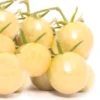 20 White Cherry Tomato Seeds - Heirloom Non-GMO Variety - Sweet Yellow Fruit
