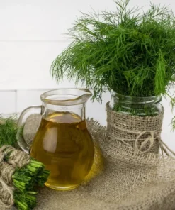 50 Mammoth Dill Seeds - Heirloom Herb Seeds for Culinary Use - All Natural