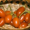 50 Roma Paste Heirloom Tomato Seeds - Ideal for Sauces & Fresh Eating - Non-GMO