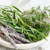 GardenFresh Rosemary Herb Seeds - 25 Aromatic Seeds for Indoor or Outdoor Planting