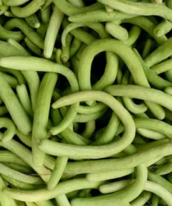 Heirloom Vegetable Seeds - Armenian Yard Long Cucumber - 20 Pack - Non-GMO