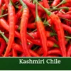 Kashmiri Chilli 20 Seeds Medium Heat Capsicum Hot Pepper Culinary Ornamental