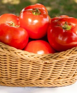 Ponderosa Heirloom Tomato Seeds - 20 Pack - Deep Red - Non-GMO