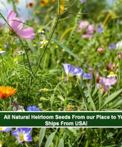 Serendipity Wildflower Mix - 500 Seed Starter Pack - Colorful Butterfly Garden