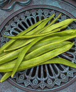 Sunset Runner Bean Seeds - 10 Seeds - Salmon Pink Blossoms - Heirloom, Non-GMO