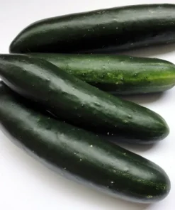 Tendergreen Cucumber Seeds - Heirloom Variety - 20 Seeds - Non-GMO