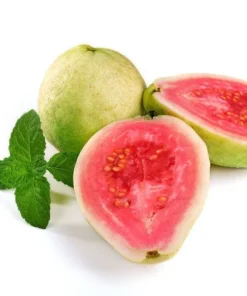 Tropical Seeds Psidium guajava 20 Heirloom Seeds Sweet Pink Fruit