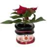 Jolly Snowman Ceramic Planter - Live Poinsettia Plant - Holiday Gift - 3x3" Pot