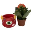 Mini Monster Ceramic Planter with Live Kalanchoe Succulent – 3-Inch Decorative Pot