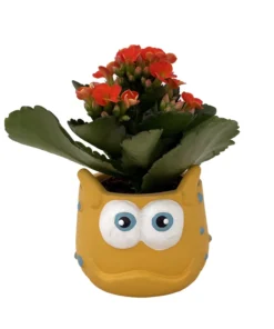 Mini Monster Ceramic Planter with Live Kalanchoe Succulent – 3-Inch Decorative Pot