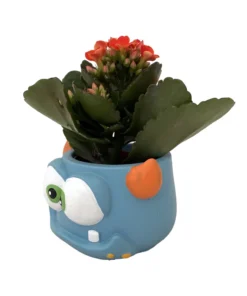 Mini Monster Ceramic Planter with Live Kalanchoe Succulent – 3-Inch Decorative Pot