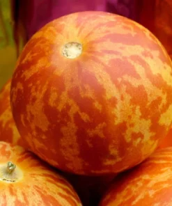 20 Seeds Melon Edible Muskmelon & Ornamental Vine Cucumis Melo Seeds