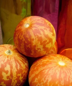 20 Seeds Melon Edible Muskmelon & Ornamental Vine Cucumis Melo Seeds