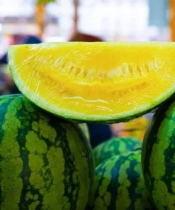 25 Seeds Watermelon Yellow Rare Vegetable Planting Heirloom Garden