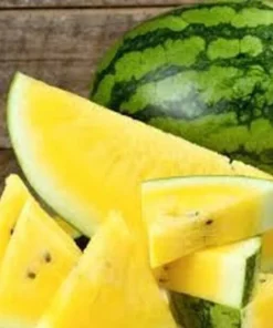 25 Seeds Watermelon Yellow Rare Vegetable Planting Heirloom Garden