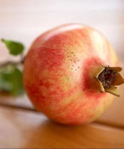 50 Seeds Bonsai Pomegranate Seeds Very Sweet Fruit