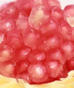 50 Seeds Bonsai Pomegranate Seeds Very Sweet Fruit