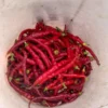 Aci Kil Hot Pepper (C. annuum) (30 Seeds)