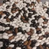 Bertie Best Greasy Heirloom Bean (30 Seeds)