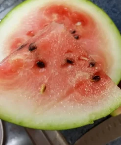 Bozeman Watermelon (Citrullus lanatus) Heirloom Open-pollinated (30 Seeds)