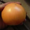 Caro Rich Tomato (30 Seeds)