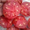 Cindy's West Virginia Heirloom Tomato (30 Seeds)