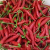 Early Adaptive Thai Pepper (30 Seeds)